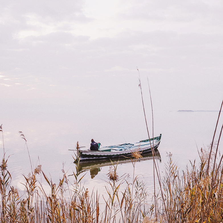  barca-albufera.